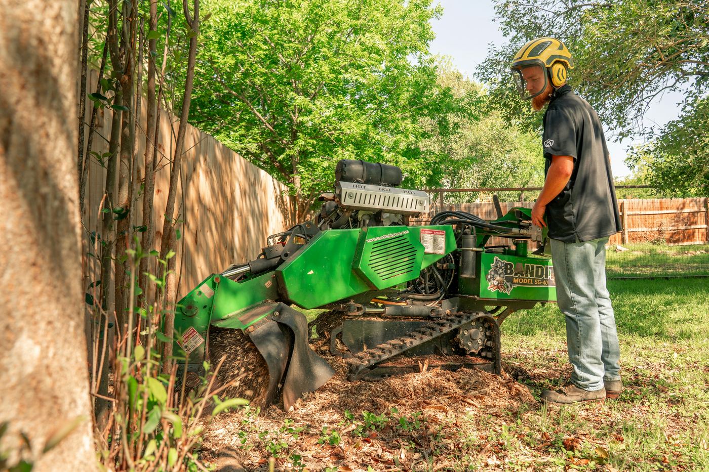Stump grinding service removing tree stump in Bismarck North Dakota yard